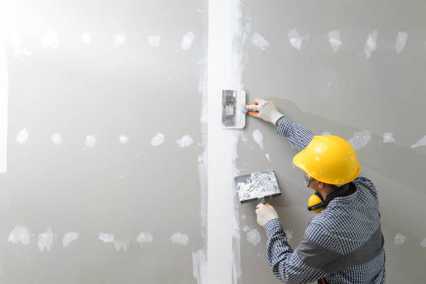 Best Industrial Mold Remediation  in Westland, MI