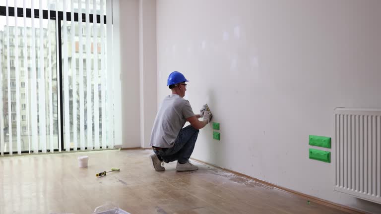 Best Emergency Mold Remediation  in Westland, MI