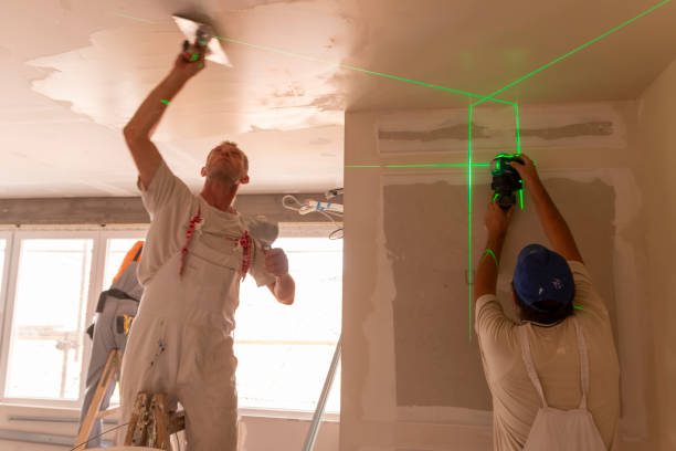 Best Biohazard Mold Removal  in Westland, MI