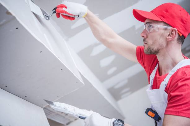 Best Industrial Mold Remediation  in Westland, MI